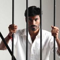 Dhanush - Untitled Gallery | Picture 24925